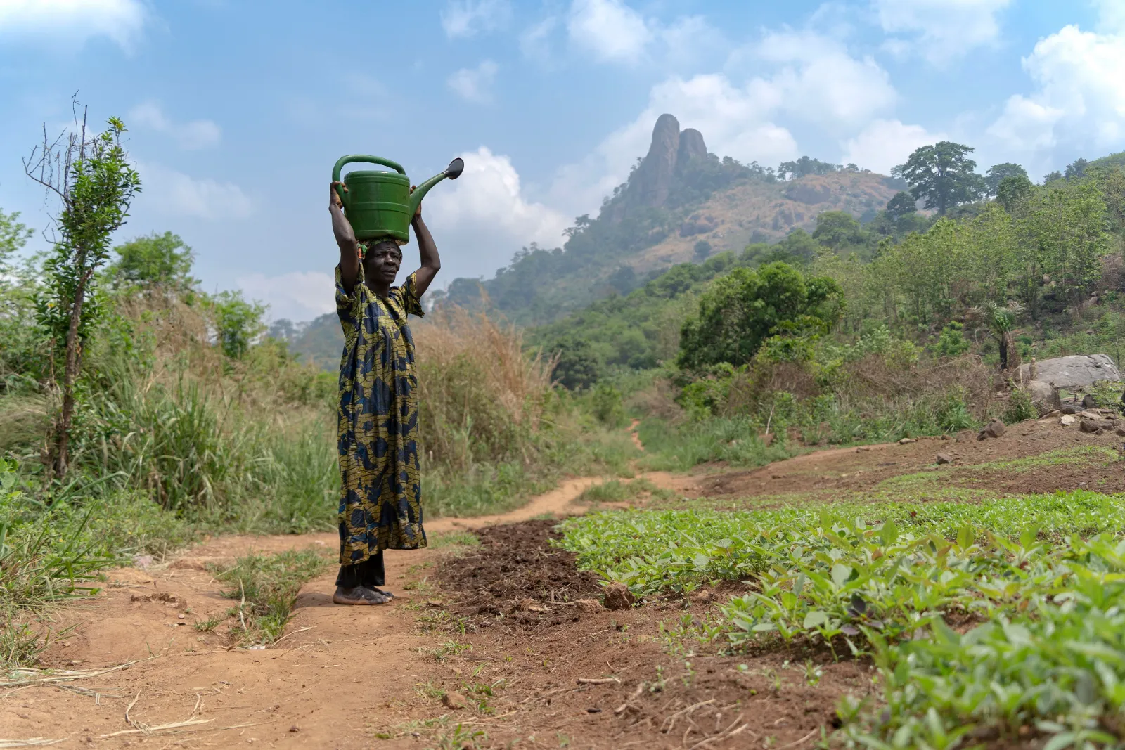 A woman carrying a watering can along a farm path below the Dent de Man, Côte d'Ivoire